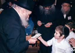 י"א ניסן תשמ"ט | גלריה